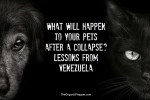 What Will Happen to Your Pets After a Collapse? Lessons From Venezuela