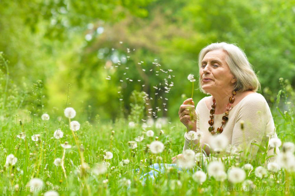 C’est la vie, we all get old: Don’t just ACCEPT Alzheimer’s as inevitable; these lifestyle options can help you prevent it