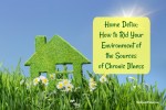 Home Detox: How to Rid Your Environment of the Sources of Chronic Illness