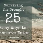 Surviving the Drought: 25 Easy Ways to Conserve Water