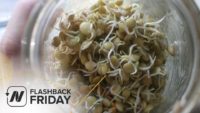 Flashback Friday: Cooked Beans or Sprouted Beans?