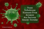 These Infectious Diseases From Animals Are Serious Health Threats