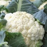 A powerful plate of vegetables: 6 health benefits of cauliflower