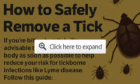 How to Remove a Tick