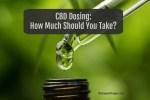 CBD Dosing: How Much Should You Take?