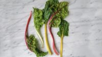 Kidney Stones and Spinach, Chard, and Beet Greens: Don’t Eat Too Much