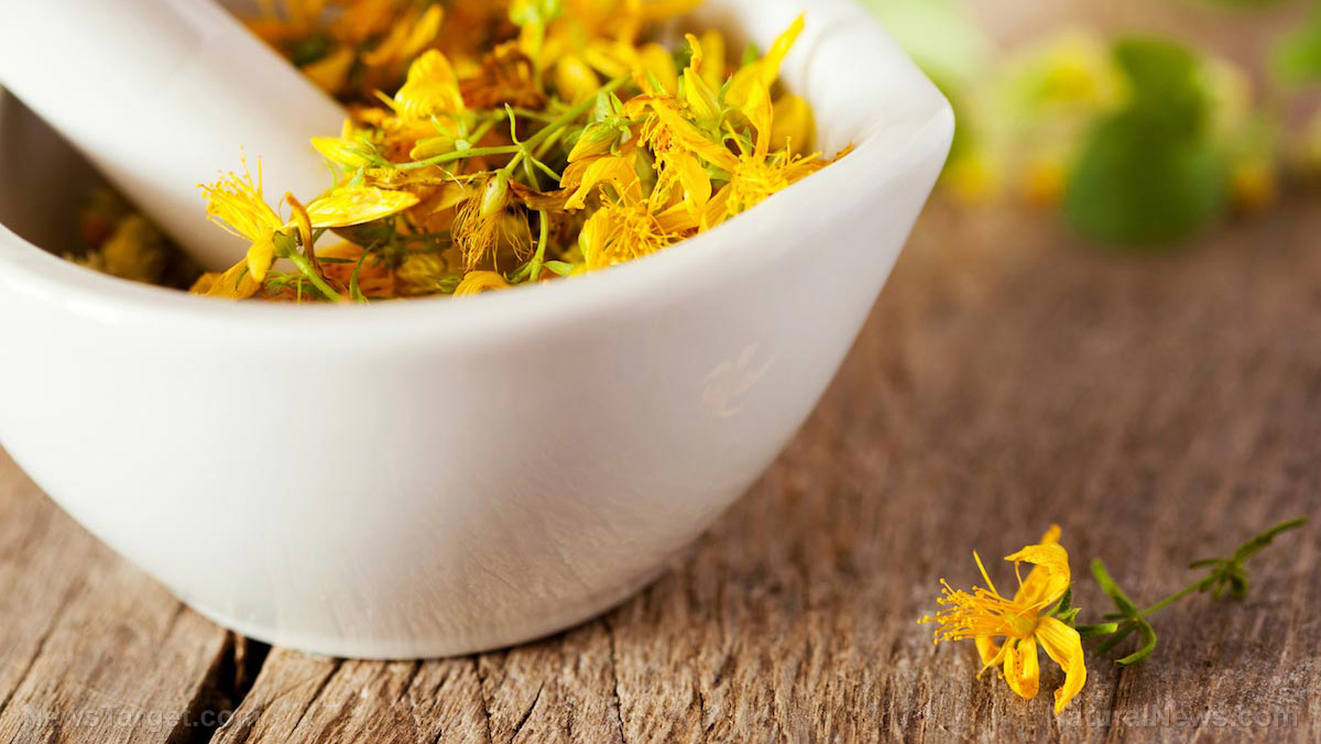 The pros and cons of taking St. John’s wort: What you need to know