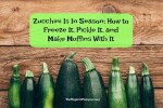 Zucchini Is In Season: How to Freeze It, Pickle It, and Make Muffins With It
