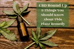 CBD Round-Up: 9 Things You Should Know About This Plant Remedy