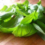Reduce stress, anxiety and inflammation with the benefits of basil