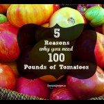 5 Reasons Why You Need 100 Pounds of Tomatoes