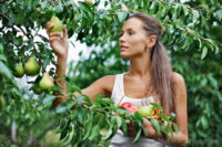 Long-term food independence: Fruit trees are a critical prep before SHTF