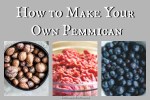 How to Make Your Own Pemmican