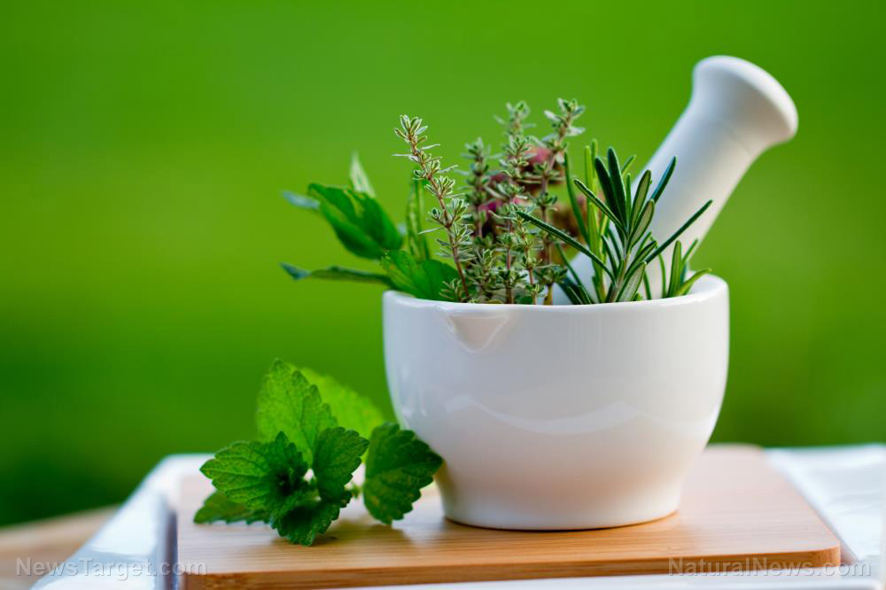 Which herbal medicines work against the flu? A scientific review provides answers