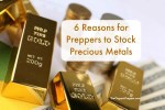 6 Reasons for Preppers to Stock Precious Metals