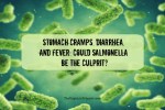 Stomach Cramps, Diarrhea, and Fever: Could Salmonella Be the Culprit?