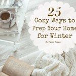 25 Cozy Ways to Prep Your Home for Winter