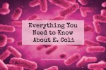 Everything You Need to Know About E. Coli