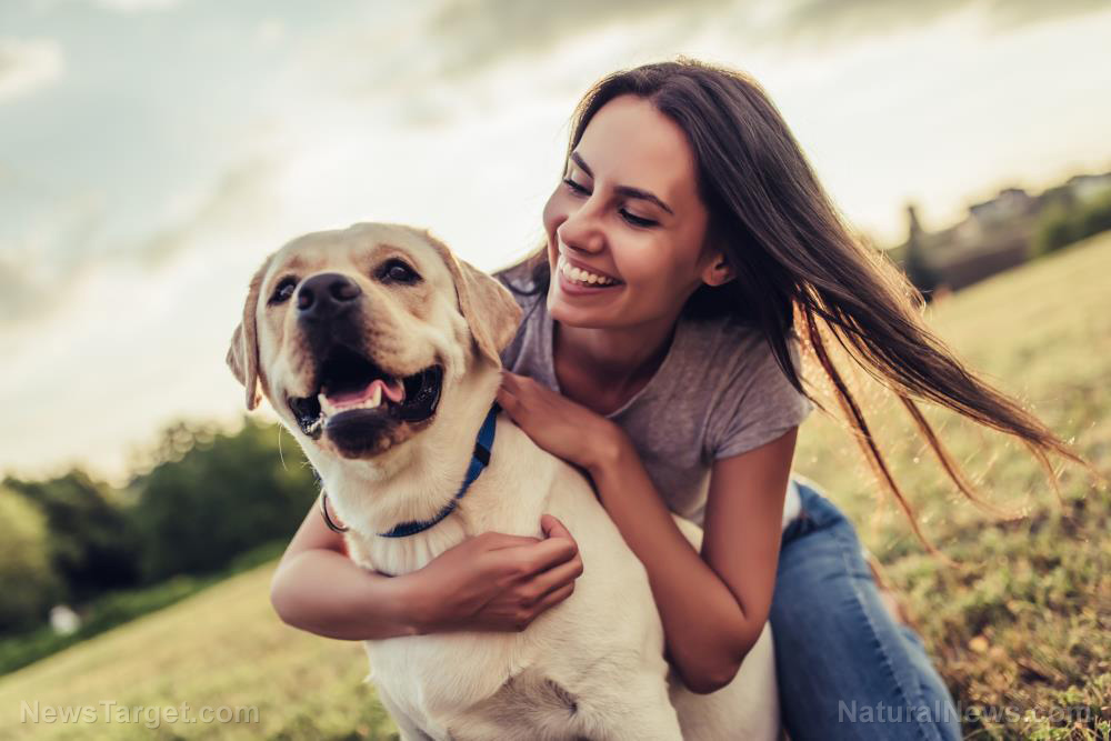 Your dog needs some face time with the pack: Study on canine health reveals playtime helps reduce long-term stress levels