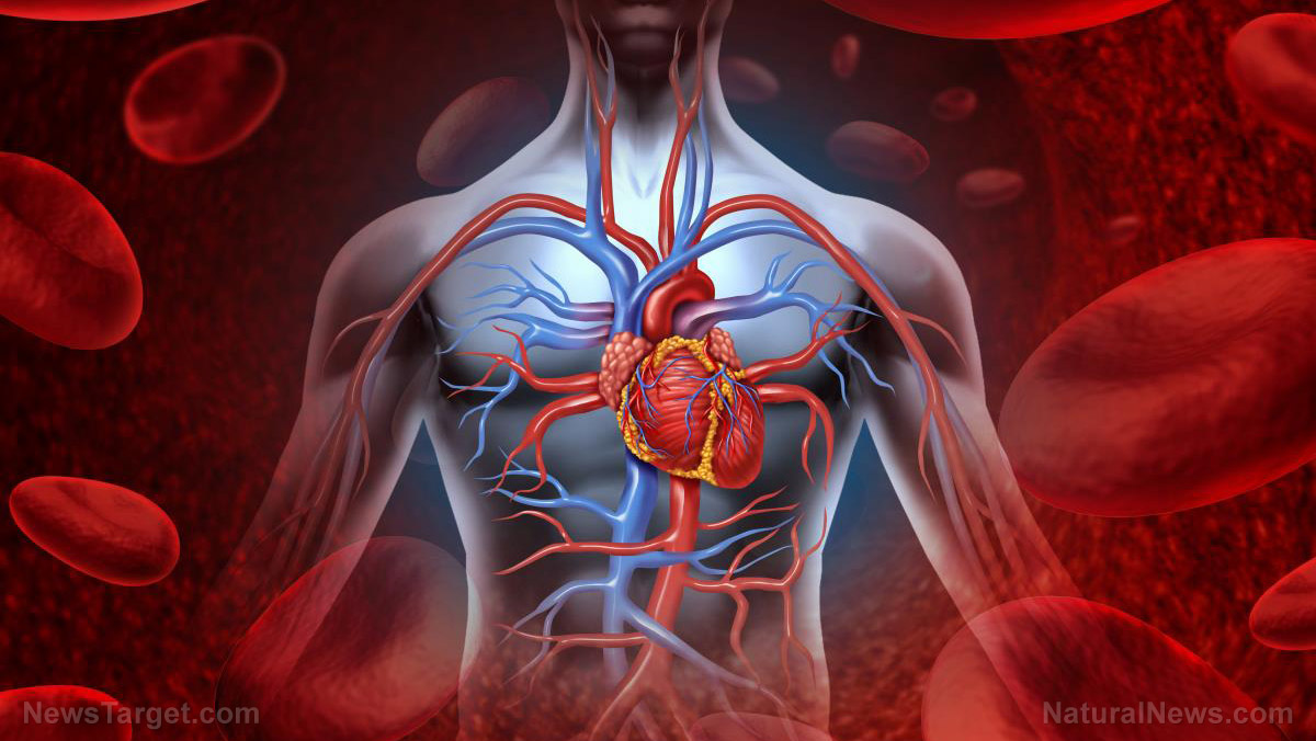 7 Predictors of heart health, plus simple ways to reduce cardiovascular disease risk