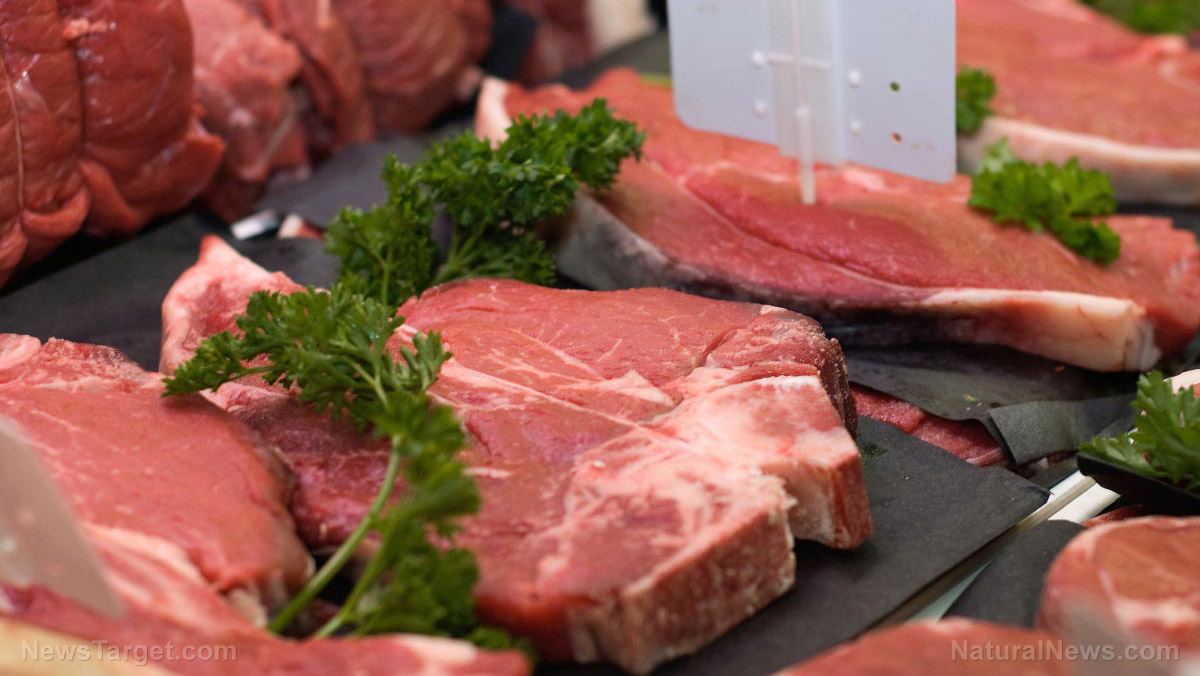 Diets and bone health: Can eating red meat prevent multiple sclerosis?