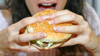 Impossible Burgers are LOADED with estrogen, claims researcher… but is it true?