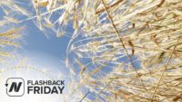 Flashback Friday: Is Gluten Sensitivity Real? & Separating the Wheat from the Chat