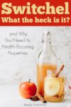 Switchel: What the Heck is It and Why You Need Its Health Boosting Properties