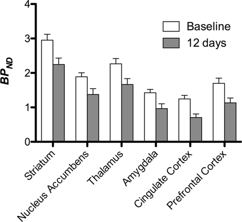 How Sugar Changes Your Brain Chemistry