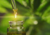 Will the FDA Ban Hemp Oil?