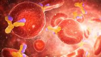 Wise Blood: Antibodies, the Principle of Overcoming in Disease (Part 2)