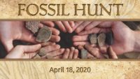 Hunt for Fossils with AiG’s Geologist and Paleontologist