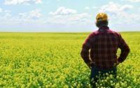 Thousands of Farmers to Join Lawsuit Against Monsanto/Bayer and BASF Over Weedkiller Dicamba