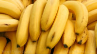 Are Cavendish bananas in danger of going extinct?