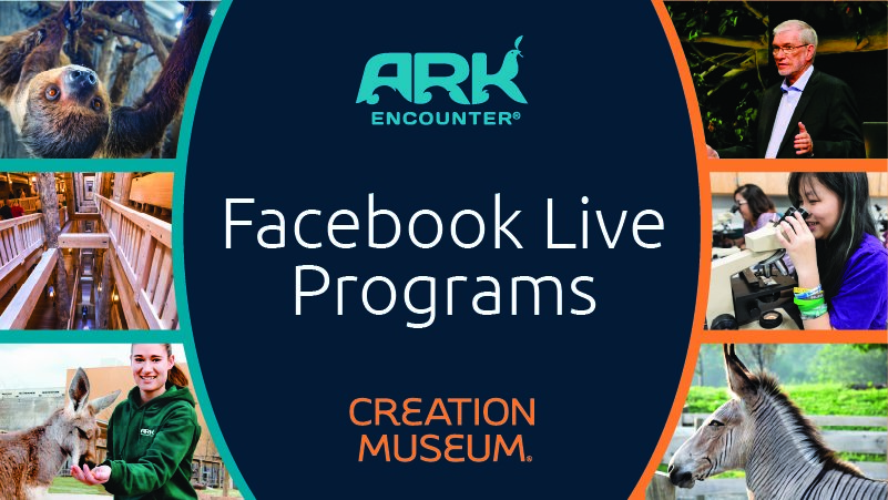 Unique New Facebook Live Programs Scheduled