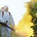 Hidden DANGER: What pesticides and herbicides are really in your food