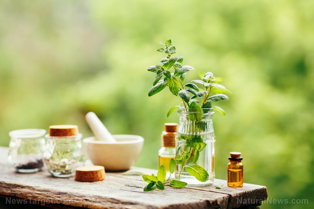 A peppermint for pain? Peppermint oil can help reduce pain caused by irritable bowel syndrome