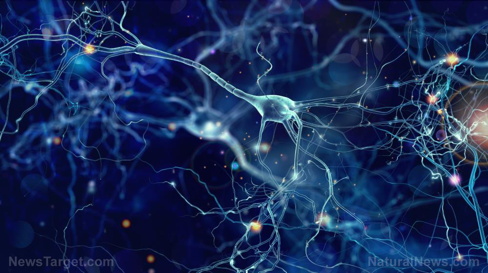 Naturally occurring molecule shows potential to treat patients with Parkinson’s