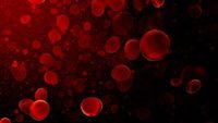 Hemoglobin: An Exquisitely Designed, Multifunctional Protein