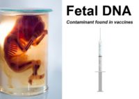 Dr. Theresa Deisher on the use of Aborted Fetal Tissue in Vaccines: Babies are Born at 5-6 Months Old Alive with Beating Hearts and No Anesthesia