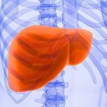 Fatty liver disease dramatically increases your risk of hospitalization with coronavirus, NEW study reveals