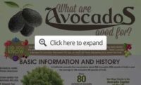 The Avocado Oil Fraud