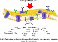 How Omega-3 Might Help Prevent Cytokine Storm