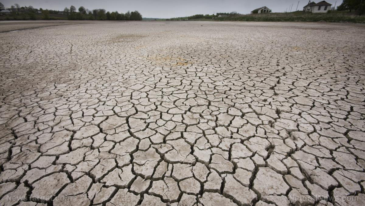 Iowa faces back-to-back blows to food crops thanks to derecho and worsening drought