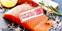 Largest US Retailers Refusing to Sell FDA-Approved GMO Salmon