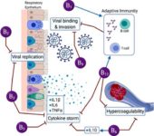 B Vitamins Might Help Prevent Worst COVID-19 Outcomes