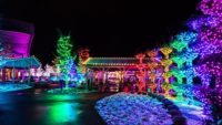 It’s Beginning to Look a Lot Like Christmas at the Creation Museum and Ark Encounter