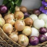 6 surprising benefits of eating onions