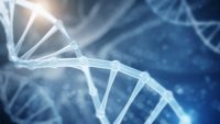 DNA—An “Energy Code”?