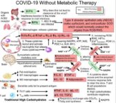 Ketones Combat Inflammation and Improve Metabolic Function